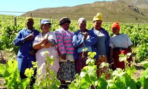 3 Rakawyne onder Top 100 in Suid-Afrika